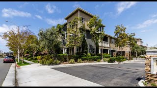 Torrance Properties For Rent 3Br3.5Ba By Torrance Property Manager