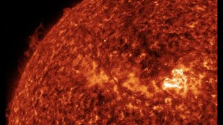 Electroquakes, Magnetic Sense, Long-Cycle Extinction Pulse | S0 News Jun.19.2021