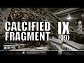 Destiny - Calcified Fragment: IX (9)