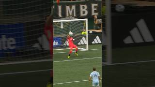 DrtZXLJc2uw Video Image