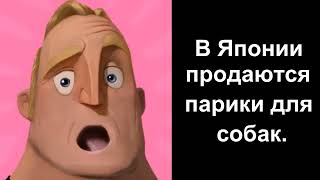 Ты Услышал Этот Факт:удивленные Лица 7 Часть