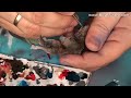 How to paint Wolf Lord on Thunderwolf? Space Wolves Warhammer 40k painting tutorial 2/2