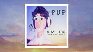 Watch Pup AM 180 video
