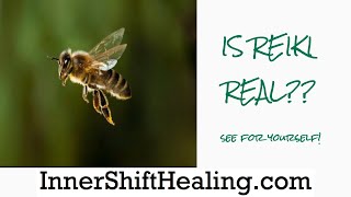 Un-BEE-lievable footage of Reiki in Action