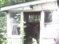 Cabin 1