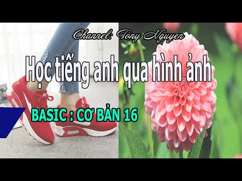 BÀI 16: BASIC ♥ HỌC TIẾNG ANH QUA HÌNH ẢNH ♥ LEARN ENGLISH WITH PICTURE