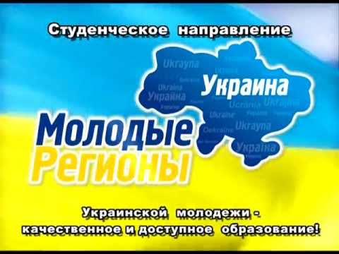 Донецкая городская организация "Молодые регионы"