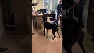 Monday morning fun for Jennabelle