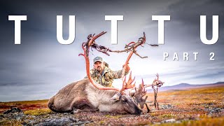 3 Caribou in One Day! | THE ADVISORS: TUTTU Part 2