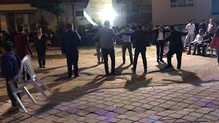 Çankirili İsa Atip Arap 2019