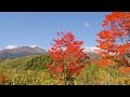 [ 4K Ultra HD ] 秋の乗鞍高原 Norikura Plateau in Autumn (Shot on RED EPIC)