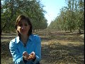 Day in Agriculture: California Almond Harvest