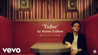 Jamie Cullum - Taller (Visualiser)
