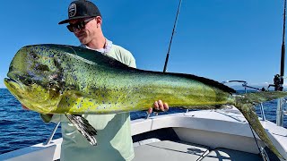 First fishing tournament, Mahi and sailfish craziness.