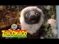 Zoboomafoo 219 - Messy and Clean (Full Episode)
