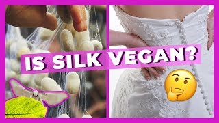 Is SIlk Vegan?