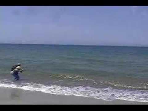 Fly Fishing Mexico Rooster Fish