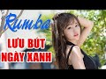 Liên Khúc Rumba Không Lời | Nhạc Vàng Trữ Tình Bolero Hải Ngoại Hay Nhất | Nhạc Sống Mạnh Hà