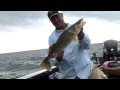 Tony Roach Fishing Report Mid June 2014