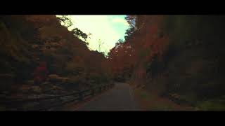 masutomi autumn leaves