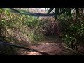 image Pikat Ayam Hutan Xpandai 3
