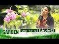 My Garden 12-12-2021