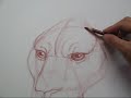 Tina Schmidt's How to Draw the Lion's Head Part 2 of 2
