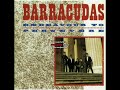 The Barracudas - way we've changed
