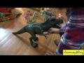 dinosaur