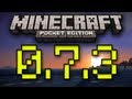 Minecraft: Pocket Edition