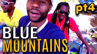 Kino In The Blue Mountains (Pt4) | EP691 | JAMAICA GOOD LIFE 🇯🇲