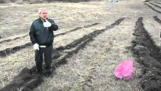 Видео Евгений Савченко и Сергей Тютюнов на посадке деревьев от belru31, Яблоневая улица, Старый Оскол, Россия