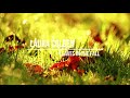 Laura COLEEN - Leaves In The Fall