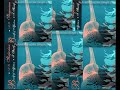 هر کس به تماشایی رفتند به صحرایی / محمدرضا شجریان