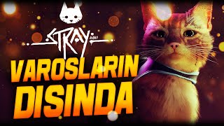 Varoşlarin Dişina Stray 4.Bölüm Türkçe