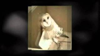 Dv1l0xUwfWg Video Image
