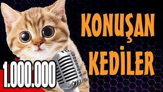 Konuşan Kediler 1000000 - En Komik Kedi ları
