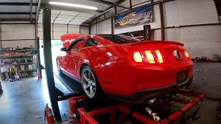 Dyno Pull - Samantha’s 11’ GT
