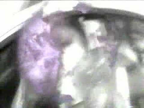 asian massage parlors in austin sex tutorial clip