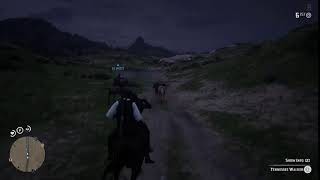 Im Done With Red Dead Online...