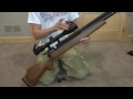 .25 cal airgun