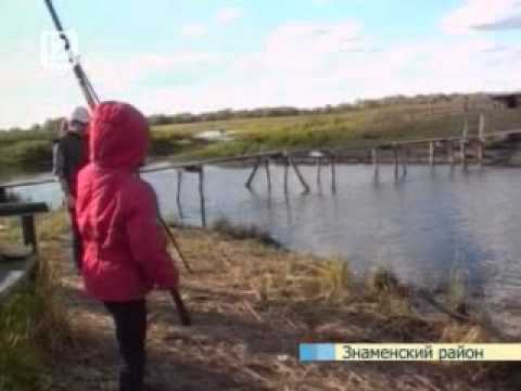 Осётр разведение в домашних условиях Осётр разведение в домашних условиях