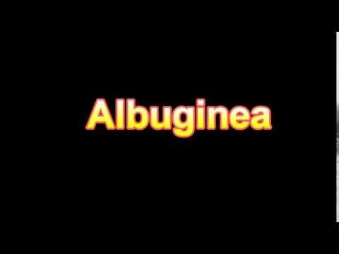 Header of Albuginea