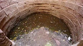 Stepwells Of Ahmedabad,A Conversation On Water And Heritage