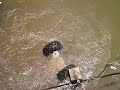 4x4 Santiago Veraguas-Panama!!! Under Water Jeep