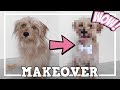 MAKEOVER! Rasmus första frisörbesök