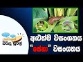 Janahithage Virindu Sural 23/01/2019