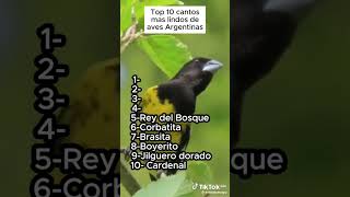 Top 10 Cantos Más Lindos De Aves De Argentina