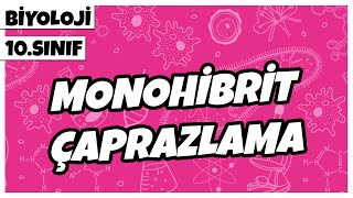 10. Sınıf Biyoloji - Monohibrit Çaprazlama | 2022