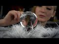 Crystal Ball Of Asmr Triggers Experiment Crystal Ball Of Asmr Triggers Experiment